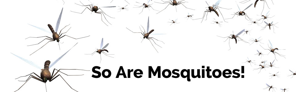Mosquito Magic protects you from mosquitos and other flying pests!